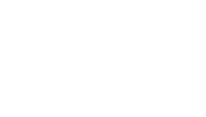 ico-skus